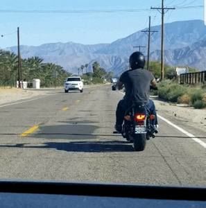 Meet your Posher, Oscar